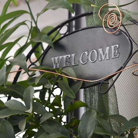 Hotel Alfredo'S Rimini Exterior photo