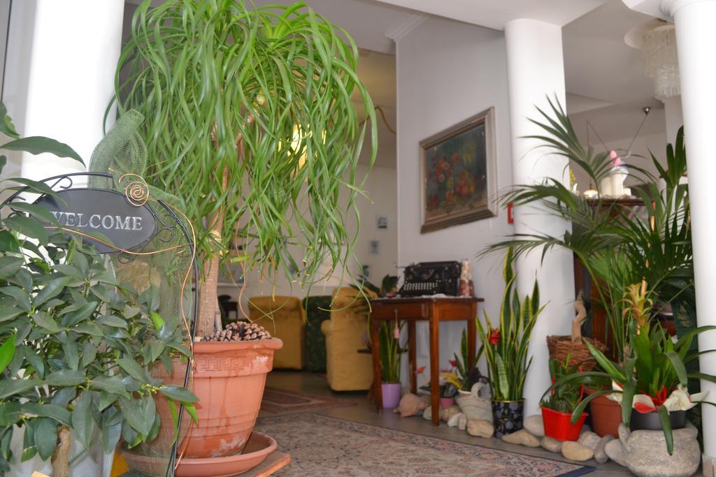 Hotel Alfredo'S Rimini Exterior photo
